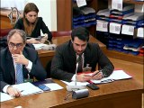 Roma - Riforma ordinamento forense - Audizione COA  (01.12.25)