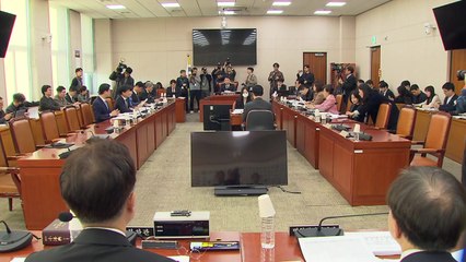'내란특별법·법 왜곡죄', 범여권 주도로 법사소위 통과 / YTN