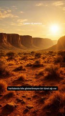 Afrika altın galerileri Güney Afrika