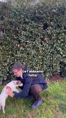 Nardella - Ce l’abbiamo fatta: con il nuovo regolamento (01.12.25)