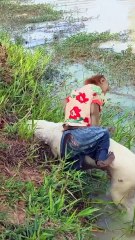 Good Job Best SokYaa, OG, Pao & Mom Are Famous Around The World #shorts #anime #trend #edit