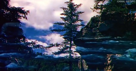 Honra Sem Fronteiras 1953 Dublado - Cameron Mitchell, John Dehner, Rory Calhoun