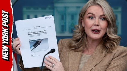 Leavitt torches NYT reporter as White House unveils 'Media Offender of the Week' website