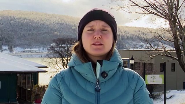 Fin du PEQ : avenir incertain pour les étudiants et travailleurs étrangers