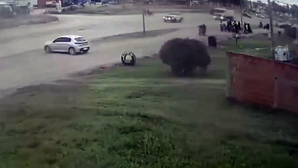 Corría pícadas en moto, chocó con una camioneta y el desenlace fue impactante