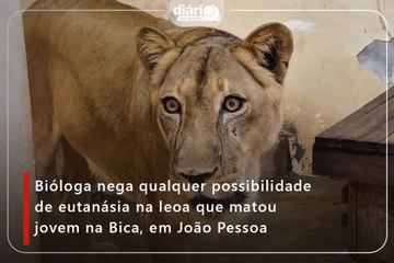 Bióloga nega qualquer possibilidade de eutanásia na leoa que matou jovem na Bica, em João Pessoa