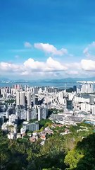 Amor A Escondidas Con Mi Jefe Episodio Completo