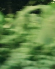 "Redescubrí el paraíso" invita a viajar por el mundo