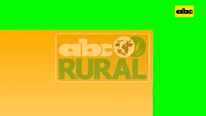 Abc Rural: Qué es la estrobirulina y para qué sirve