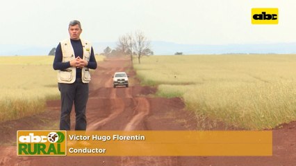 Abc Rural: Uso anticipado de desecantes para el desarrollo de soja