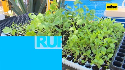 Abc Rural: Uso de bioestimulantes en horticultura
