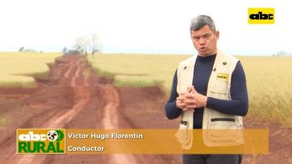 Abc Rural: Perspectivas para campaña de soja 2020/2021