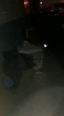 Varados en Puerto Falcón siguen aguardando por volver a sus hogares