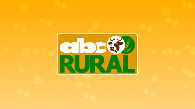 Abc Rural: Nutrición estratégica de vacas lecheras