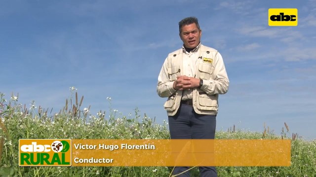 Abc Rural: Nutrición de recría de hembras ante sequía en el Chaco