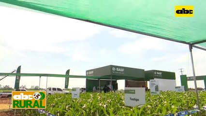 Abc Rural: Inoculación de semillas para un buen arranque