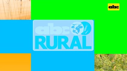Abc Rural: Tutorado de tomate variedad indeterminada