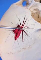 Medical Hacks and the Secrets Inside Your Body #fblifestyle