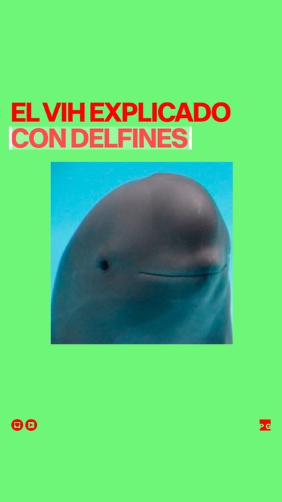 El VIH explicado con delfines
