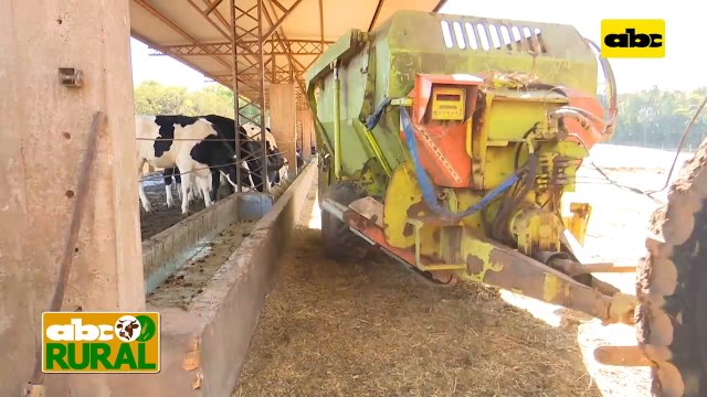 Abc Rural: Nutrición de precisión y uso de programas para raciones