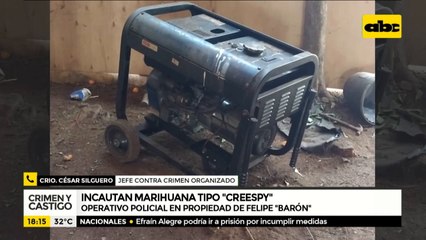 Incautan marihuana en propiedad de Felipe "Barón"