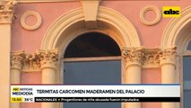 Termitas carcomen maderamen del Palacio de López