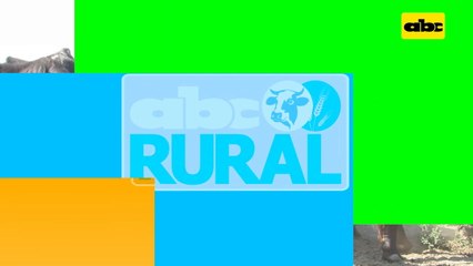 Abc Rural: Cría y nutrición de ganado en Alto Paraguay