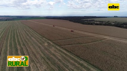 Abc Rural: Uso de microorganismos benéficos para el suelo