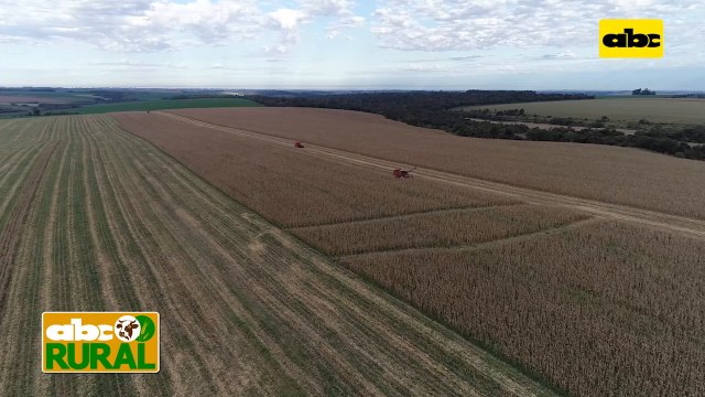 Abc Rural: Uso de microorganismos benéficos para el suelo