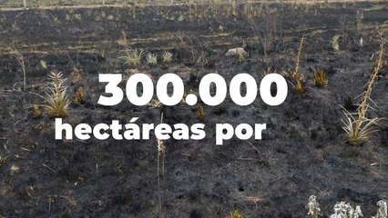 Lanzan campaña para prevenir incendios forestales en la reserva del Mbaracayú