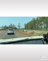 Captan momento en el que obreros causan incendio tras tala de árboles