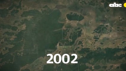 Fincas Ganaderas Arrasan Con Territorio De Indígenas En Alto Paraguay