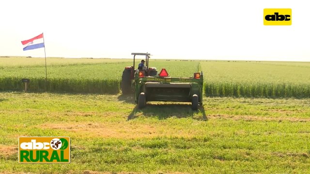 Abc Rural: Proceso de enfardado de acevén y sus ventajas