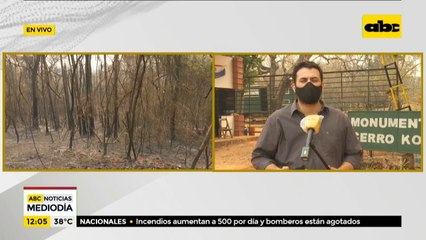 Cerro Kõi de Areguá, afectado por el fuego en más del 50%