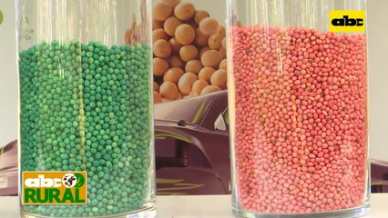 Abc Rural: Importancia de una siembra con buena humedad