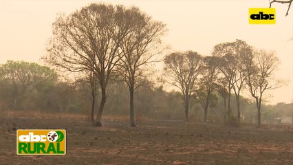 Abc Rural: Daño que causa la quema al suelo (II)