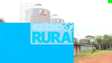 Abc Rural: Automatización de galpones con ambiente controlado para aves