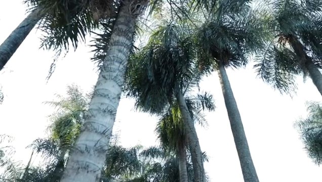 Presentan “triatlón solidaria” en favor de comunidades indígenas