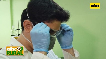 Abc Rural: Control Union, certificadora para exportación (II)