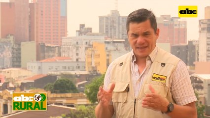 Cultivos frutales y apicultura cerca de cultivos extensivos