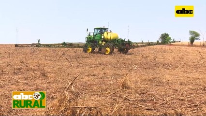 Abc Rural: Plataforma Digital para aumentar rendimientos de cultivos