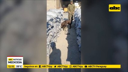 "Incautación histórica es un avance en la legalidad de la República", según Euclides