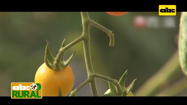 Abc Rural: Noticias internacionales