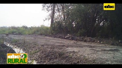 Abc Rural: Búsqueda de equilibrio entre producción y ecología en el Chaco