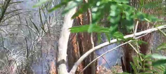 Nuevo incendio en predio contiguo puso en jaque al Hospital Nacional