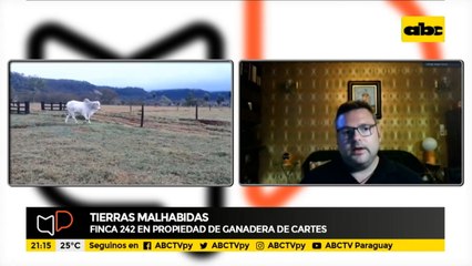 Tierras malhabidas: Finca 242 en propiedad de ganadera de Cartes