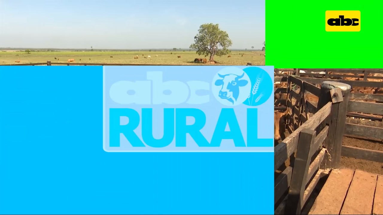 Abc Rural: Stress oxidativo y su impacto en al preñez a la IATF