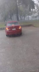 Árbol cayó sobre un vehículo en predio de IPS de Presidente Franco