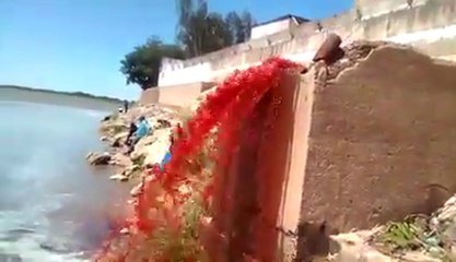 Concepción: Frigorífico vierte sus residuos directamente al río Paraguay