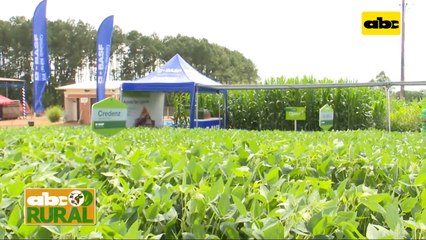 Productos Para Contro De Enfermedades De Soja